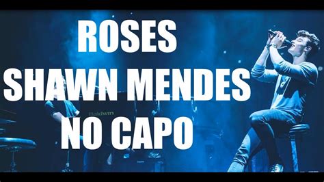 roses shawn mendes lyrics and chords - YouTube