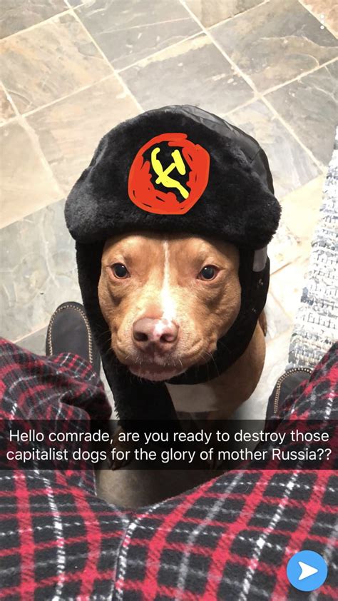 Are You Gonna Scroll Past Without Saying Hello To The Communist Doggo