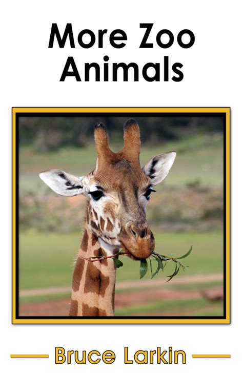 More Zoo Animals Kindergarten Book Wilbooks