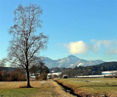 Kostenlose Foto Landschaft Baum Gras Berg Winter Himmel