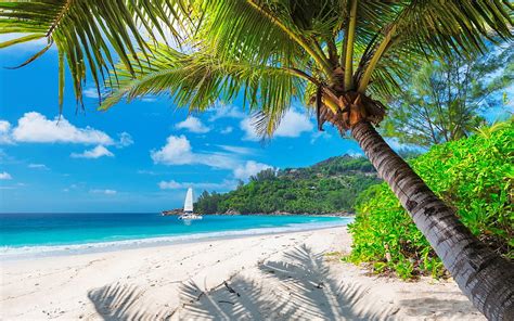 1290x2796px 2k Free Download Caribbean Seaside Island Seaside