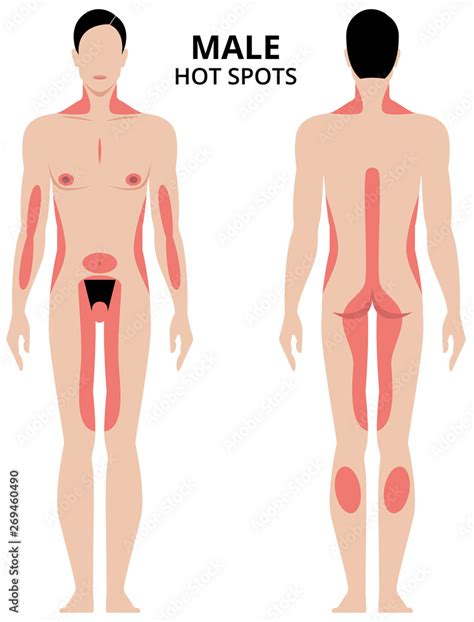 Vector Illustration Of Male Erogenous Zones Man In Full Length Front