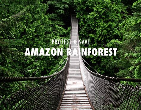 Protect And Save Amazon Rainforest On Behance