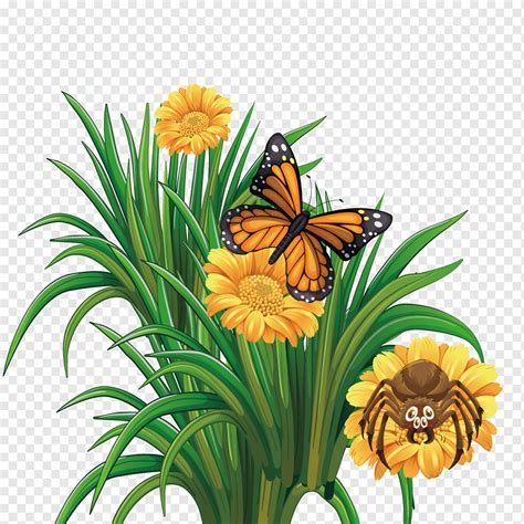 Jika saat ini anda bingung mencari ide. Butterfly Flower Png Images Pngwing