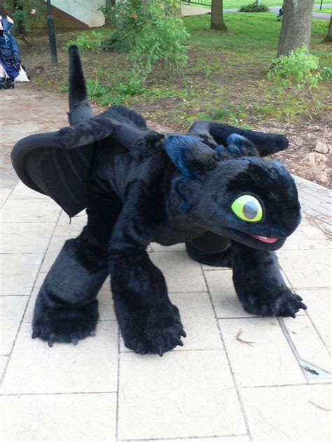 Toothless From How To Train Your Dragon How To Train Your Dargon In