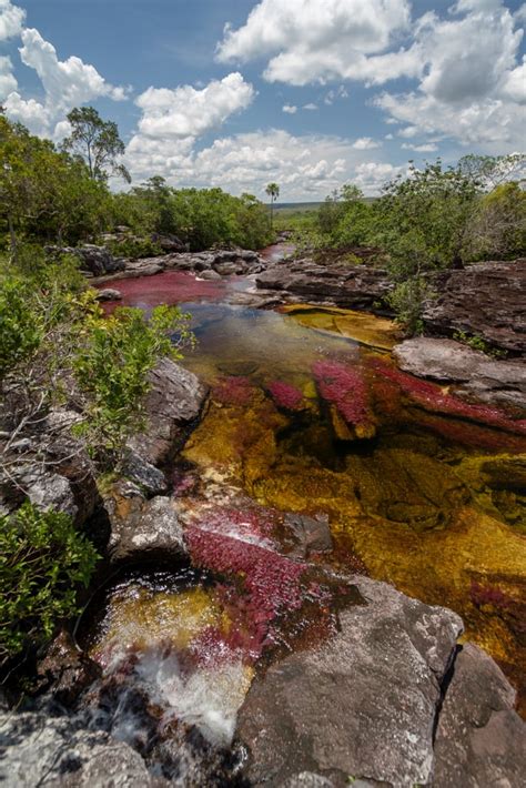 Caño Cristales Colombia Top Travel Destinations To Put On Your