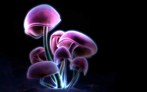 Neon Mushroom Wallpaper 56 Images