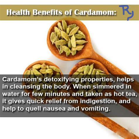 Try2reachgoal Health Benefits Of Cardamom