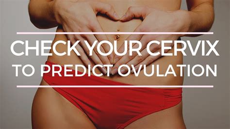 How To Check Your Cervix To Predict Ovualtion Youtube