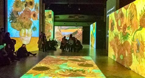 Cómo Visitar La Exposición Van Gogh Alive Pamplona Horarios Precios