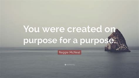 Reggie Mcneal Quote You Were Created On Purpose For A Purpose 7