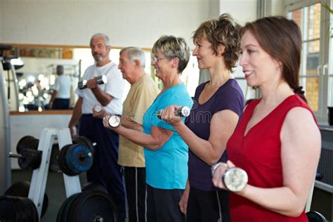 Dumbbell Exercises With Seniors Stock Photo Image Of Elderly Lift