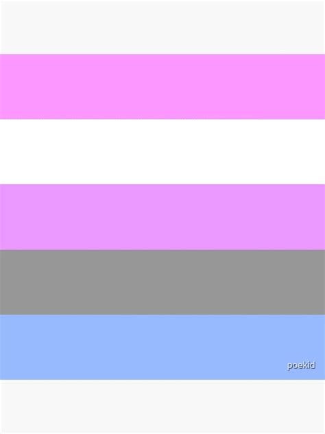 Gender Fluid Flag Ladegstep