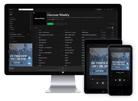 Review Your Options With Spotify And The Growing Potential In Audio