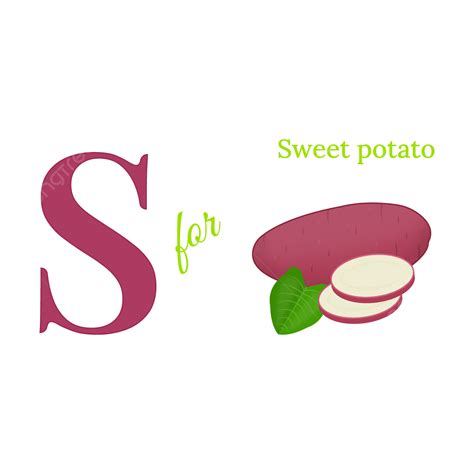 English Alphabet S For Sweet Potato Vector Illustration English