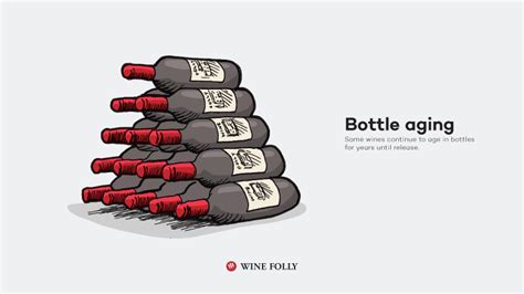 How Red Wine Is Made Step By Step Wine Folly
