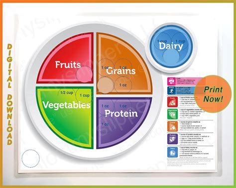 Myplate Daily Food Plan Hot Sex Picture