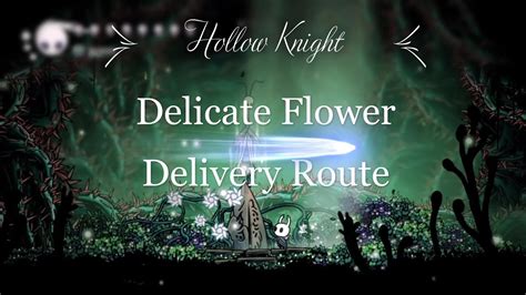 Hollow Knight Delicate Flower Delivery Route Youtube