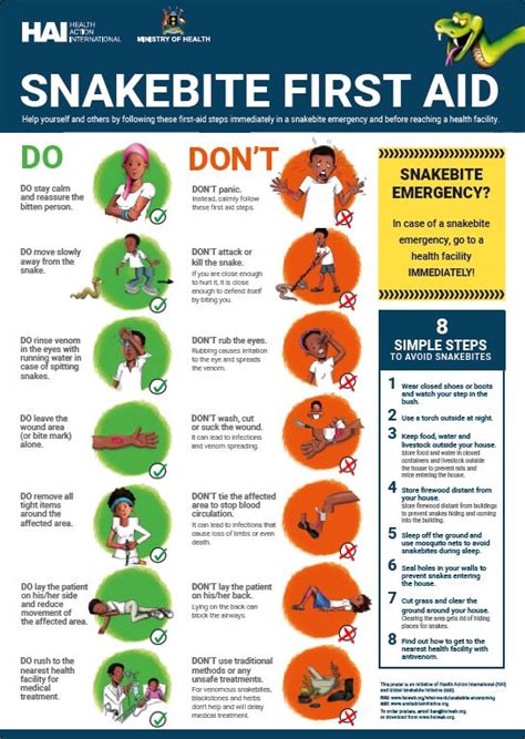 Snake Bite First Aid Poster