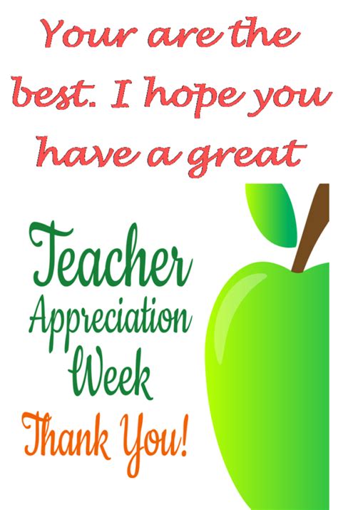 Card You Are The Best Teacher Kingdom Greeting Cards