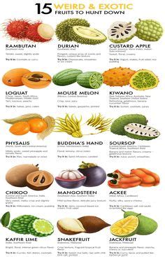 spices spice chart chart school hindi language learning