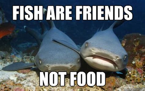 Fish Are Friends Not Food Compassionate Shark Friend Quickmeme