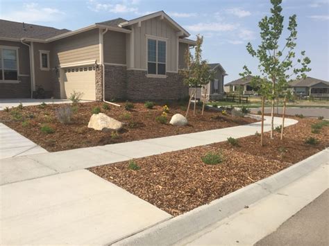 Front Yard Xeriscape Waterwise Yards