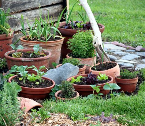 I container garden on top of growing a large garden because truthfully, i have better luck with some veggies in a container. Top 6 plants to start growing in containers this weekend ...