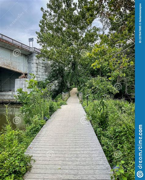 Trail Boardwalk In Theodore Roosevelt Island In Washington Dc Stock