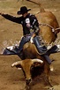 Sit in the Shark Tank!! Rodeo Cowboys, Rodeo Horses, Real Cowboys, Pbr ...