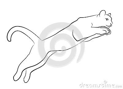Jump cat