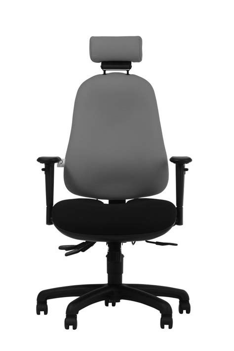 The ergo chair is similar, but. zentoFit - Ergochair