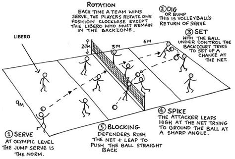 Volleyball Workouts Volleyball Positions Volleyball Rules