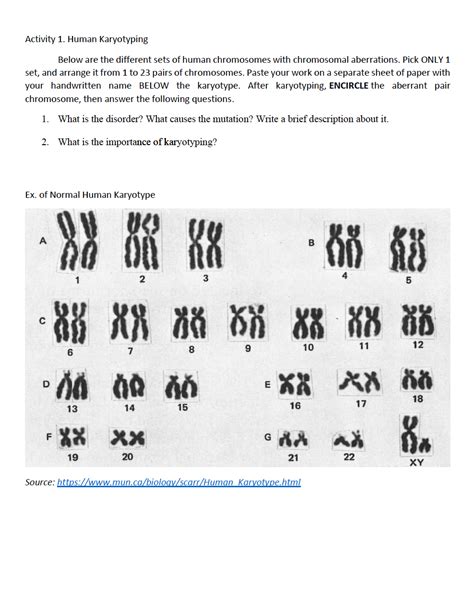 Solved Cheat Sheet For Completing Human Karyotypes 1 Clip Out