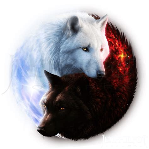 Yin Yang Wallpapers Wolf Wallpaper Cave Wolf Black And White