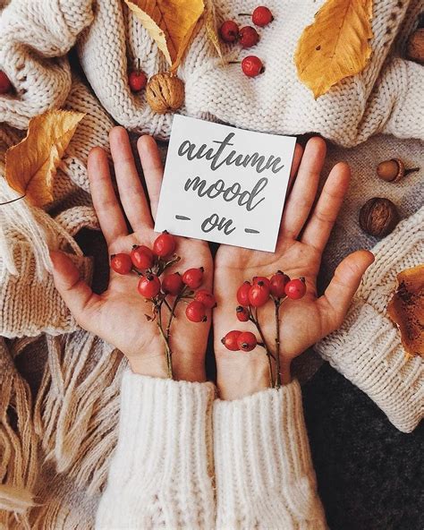 Someone Holding Out Their Hands With The Words Autumn Mood On It