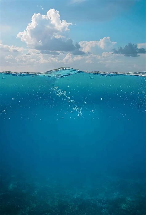 Underwater Sea Wave Sky Seabed Diving Nature Swim Animal