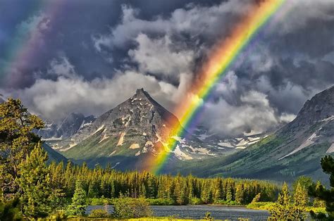 It Is Amazing Rainbow Forest Nature Rainbow Mountains Hd