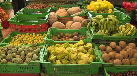 Variedad Frutas Ex Ticas A La Venta En Merca Panam Youtube