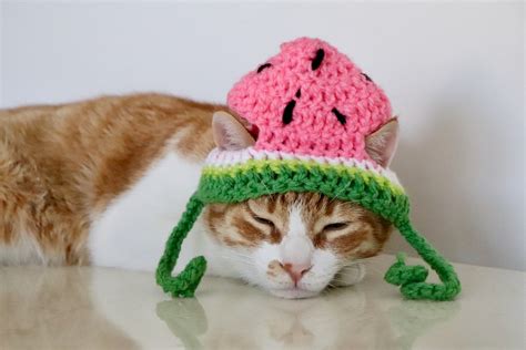 Watermelon Hat For Cats Crochet Watermelon Hat For Cats And Etsy