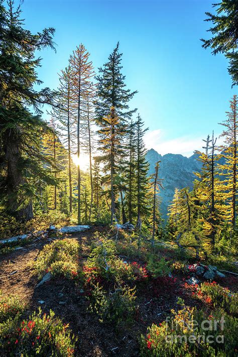 North Cascades Fall Sunlight Photograph By Mike Reid Pixels