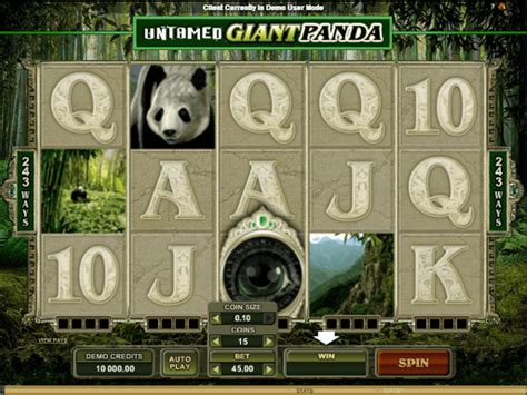 Untamed Giant Panda Slot Review Get An Insight Into The Game