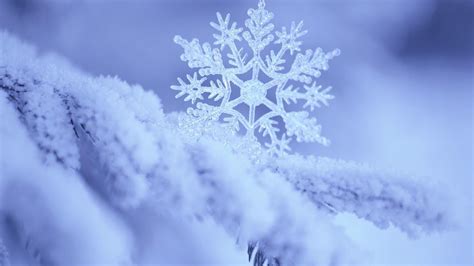 Snowflake Desktop Wallpaper ·① Wallpapertag