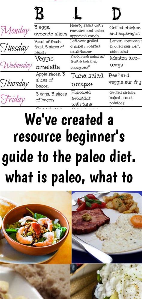 Easy Paleo Diet Meal Plan Best Design Idea