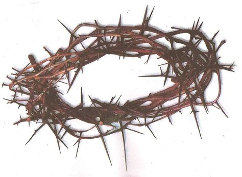 Collection Of Crown Of Thorns Png Hd Pluspng