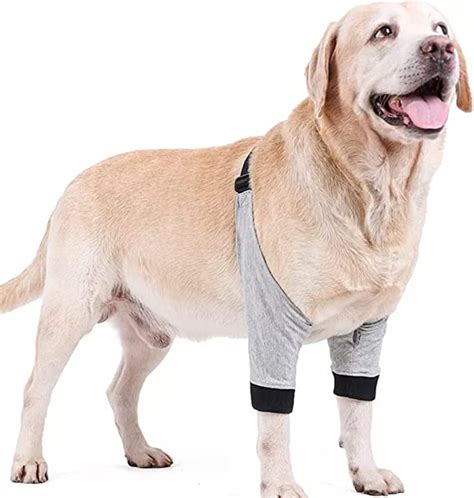 Elbow Protectors For Dog Pressure Soresdog Elbow Callus