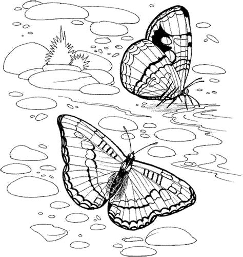 39 Nature Coloring Pages Free Printable Png Colorist