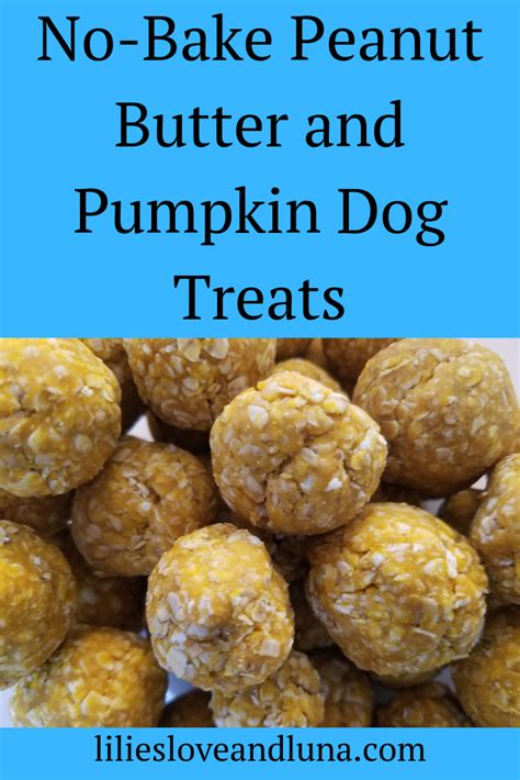 No Bake Peanut Butter And Pumpkin Dog Treats Lilies Love And Luna