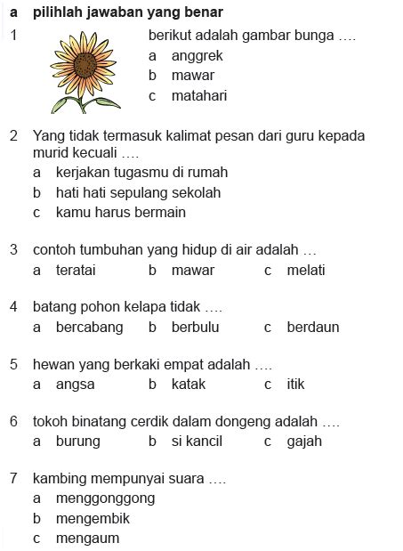Soal Kelas 1 Sd Bahasa Indonesia Foto Modis