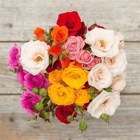See full address and map. Santa Cruz'n (With images) | Spray roses bouquet, Spray ...